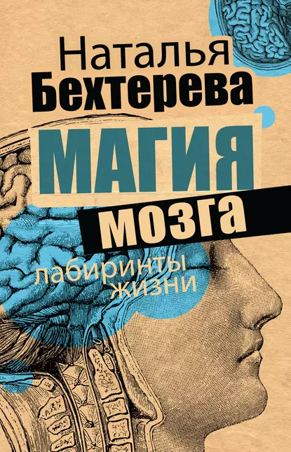 21.png