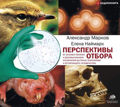 43713021-aleksandr-markov-perspektivy-otbora-43713021.jpg