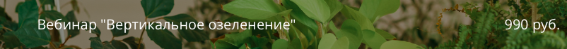 Снимок экрана 2022-08-19 в 11.48.26.png