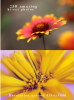 4.PNG