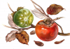 image58e3d54f149f68711.png