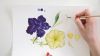image5905ae2291f1e8874.png