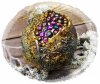 test5da42fe7268524.61692718.jpg