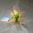 tinylight